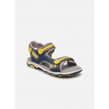 Kickers - Sandalias Kiwi - Azul