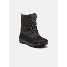 Kimberfeel - Stiefeletten & Boots BEKER - braun - Größe 43