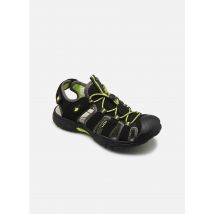 Lico - Sportschuhe Nimbo - schwarz - Größe 36
