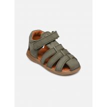 Babybotte - Tafari Verde - Sandali e scarpe aperte - Taglia 20