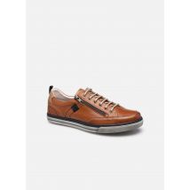 Fluchos - Quebec 9376 - Bruin - Sneakers - Maat 46