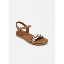 Sandales et nu-pieds Lazar Kate Marron - Adolie - Disponible en 28