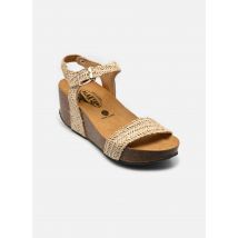 Sandalen So Kiss Beige - Plakton - Beschikbaar in 41