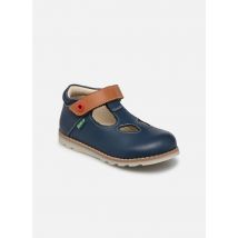 Kickers - Bailarinas Nonocchi - Azul - Talla 22