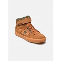 DC Shoes Pure High-Top Wnt Ev Marron - Baskets - Disponible en 35