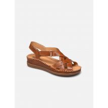 Pikolinos - Sandalen Cadaques W8K-0741 - braun - Größe 42