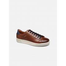 Kost - BATTLE 36 Marrone - Sneakers - Taglia 40