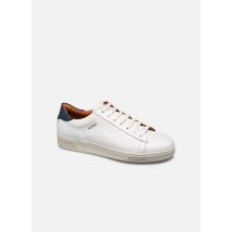 Kost - BATTLE 8 - Wit - Sneakers - Maat 41