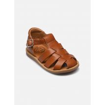 Sandalen Poppy Daddy Bruin - Pom d Api - Beschikbaar in 25