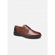 Josef Seibel - Schnürschuhe Alastair 01 - braun - Größe 40