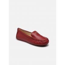 Coach - Slipper Marley Leather Driver - rot - Größe 36