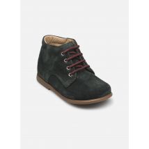 Pom d Api - Stiefeletten & Boots Nioupi Derby - grün - Größe 23