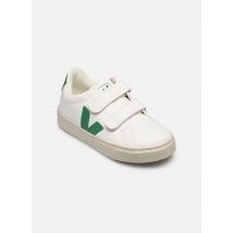 Veja Small Esplar Velcro Leather Blanc - Baskets - Disponible en 28