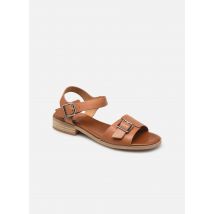 Kickers BUCIDI Marron - Sandales et nu-pieds - Disponible en 37