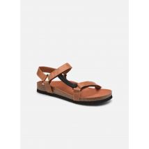 Scholl Heaven Ad Comfort M - Sandales et nu-pieds - Disponible en 46