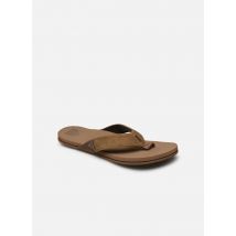 Tongs Reef Newport Marron - Reef - Disponible en 46