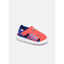 adidas performance - Sandalen Water Sandal I - Rood - Maat 21