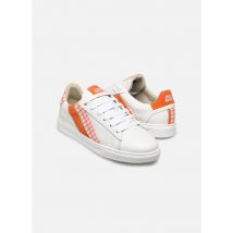 Caval Slash W Blanc - Baskets - Disponible en 41