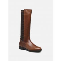 Bottes 9905 Marron - Acebo's - Disponible en 35
