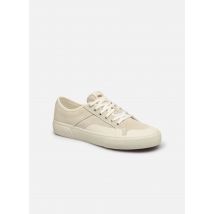 Globe Surplus Weiß - Sneaker - Größe 43