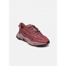 adidas originals - Ozweego Celox W - weinrot - Sneaker - Größe 36 2/3