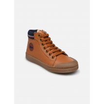 Ten IS - Ten Win Teddy - Bruin - Sneakers - Maat 25