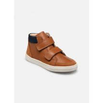 Ten IS - Ten Base Hi V2 - Marrón - Deportivas