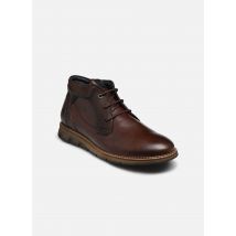 Bottines et boots KiroF0978 Marron - Fluchos - Disponible en 39