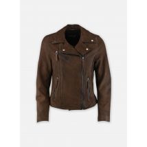 Kleding CLIPS Bruin - Oakwood - Beschikbaar in XL