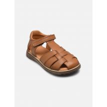 Froddo - Sandalen Daros C - braun - Größe 26