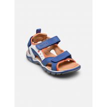 Froddo - Sandalen Karlo 3V - Blau - Größe 29