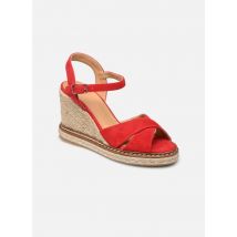 Castaner - Alpargatas Blaudia H8 - Rojo - Talla 40
