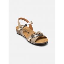 Plakton - Sandalias Norte - Plateado - Talla 41