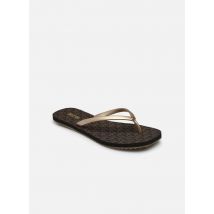 Michael Michael Kors - Chanclas JINX FLIP FLOP - Oro y bronce - Talla 36