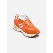 Semerdjian - Mantch - Naranja - Deportivas