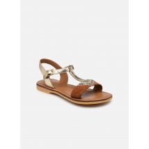 Adolie - Sandalen Lazar Delta - gold/bronze - Größe 30