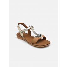 Adolie - Sandalen Lazar Delta - gold/bronze - Größe 30