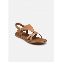 Adolie - Sandalen Lazar Sand - braun - Größe 31