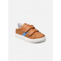 Babybotte - Kenz - Marrón - Deportivas - Talla 30