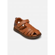 Sandales et nu-pieds Kiko Marron - Babybotte - Disponible en 25