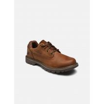 Caterpillar - Schnürschuhe COLORADO LOW - beige - Größe 43