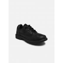 Caterpillar - Schnürschuhe COLORADO LOW - schwarz - Größe 45