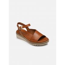 Dorking - Sandalen Espe D8771 - braun - Größe 40