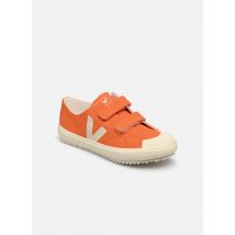Veja Small Ollie Orange - Baskets - Disponible en 31