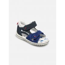 Primigi - Sandalias Baby Sweet - Azul