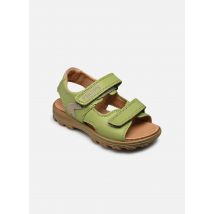 Sandales et nu-pieds Rafting Vert - Primigi - Disponible en 34