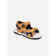 Sandales et nu-pieds Ifavu SK8 Marron - Bopy - Disponible en 27
