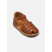 Pom d Api - Poppy Royal Marrone - Sandali e scarpe aperte - Taglia 21