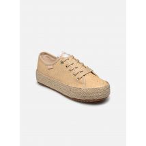 MTNG - CARIBE 60008B Beige - Sneakers - Taglia 36
