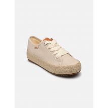 MTNG CARIBE 60008B Beige - Baskets - Disponible en 37